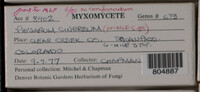 Image Associated With the Occurence